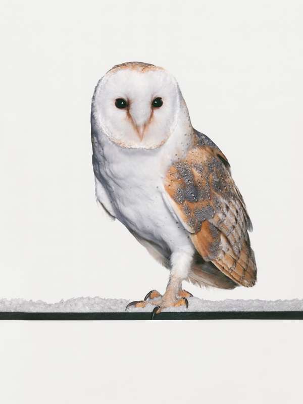 CHANEL END OF YEAR 2025 @chanelofficial