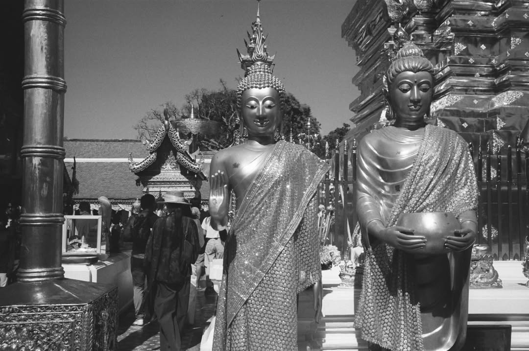 Joe Bressler X Kodak