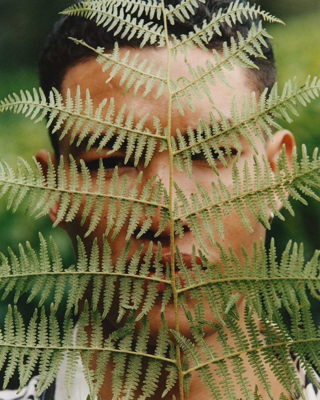 Joe Perri