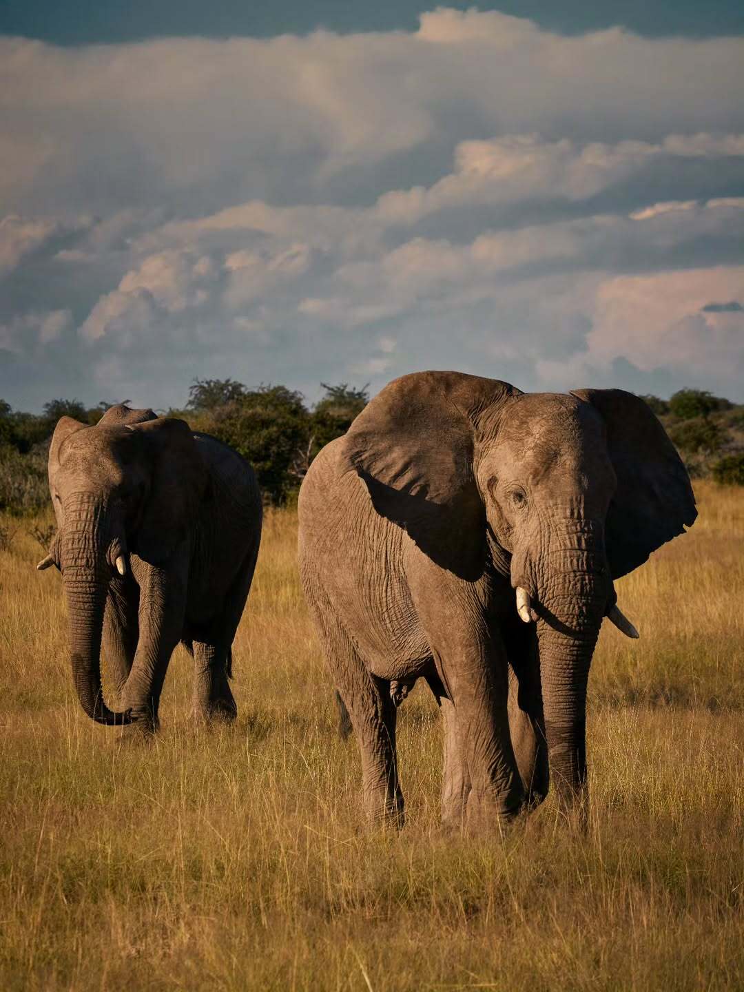 Jonathan Gregson X National Geographic Traveller Aug. 25