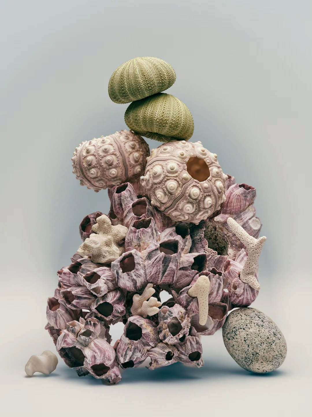 Jonathan Gregson Jan. 26