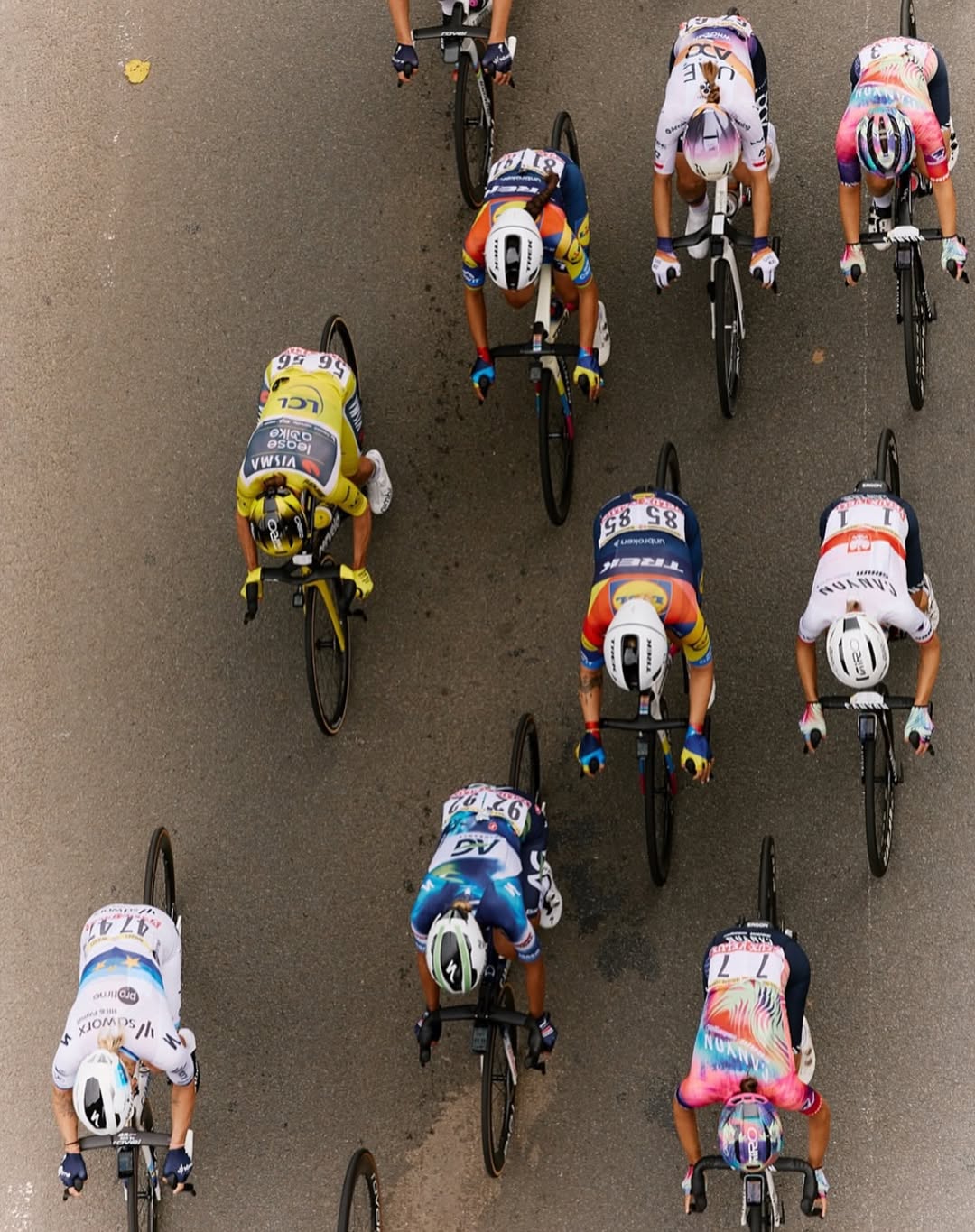 <a href="/dominique-powers">Dominique Powers</a> X Le Tour de France Femmes avec Zwift <span style="text-transform: none; white-space: nowrap;">Jul. 25</span>