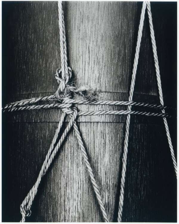 Eduard Sánchez Ribot