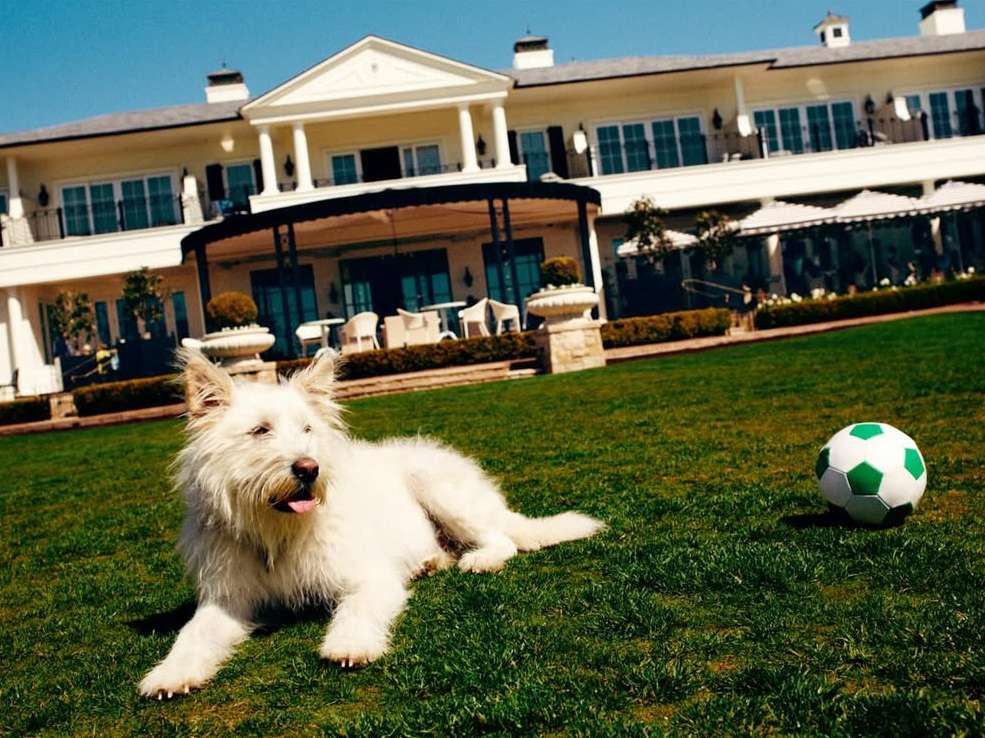 Rosewood Hotels & Resorts |  Feb. 26