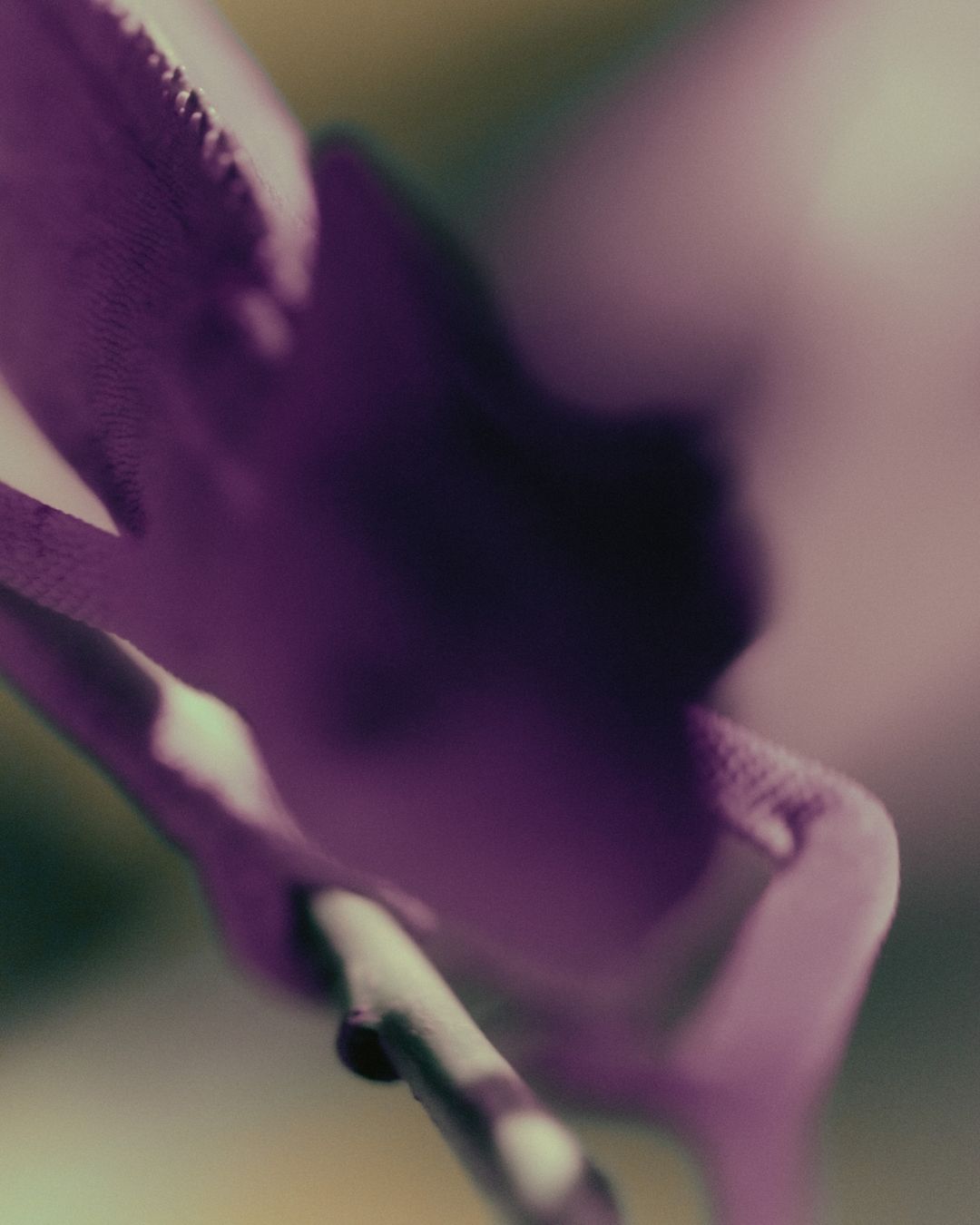 Twin Magazine |  Oct. 22