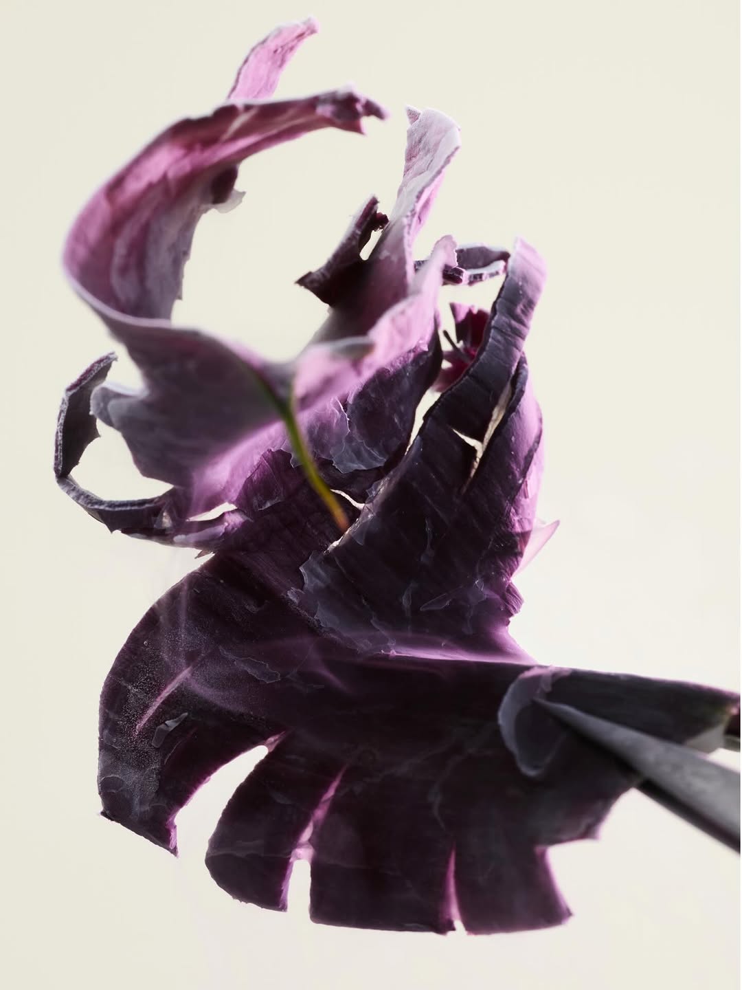 Florian Joye Apr. 26