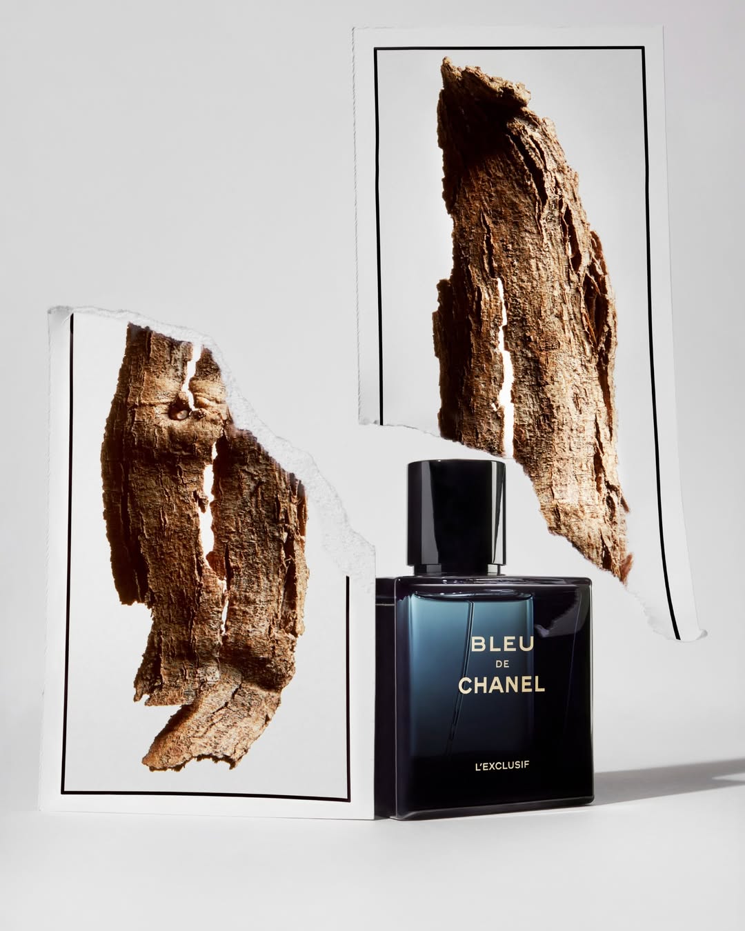 <a href="/emilie-erbin">Emilie Erbin</a> <span style="text-transform: none; white-space: nowrap;">Nov. 25</span>