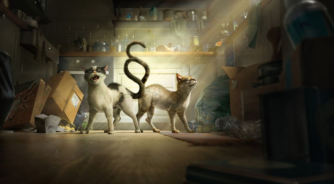 Tier im Recht |  Aug. 22