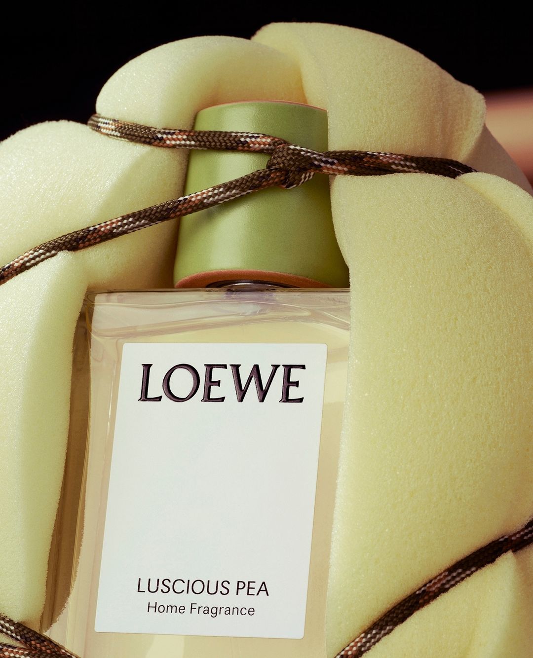 LOEWE Perfumes |  Jul. 23