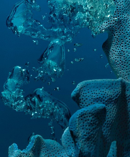 Chantecaille |  Jun. 22