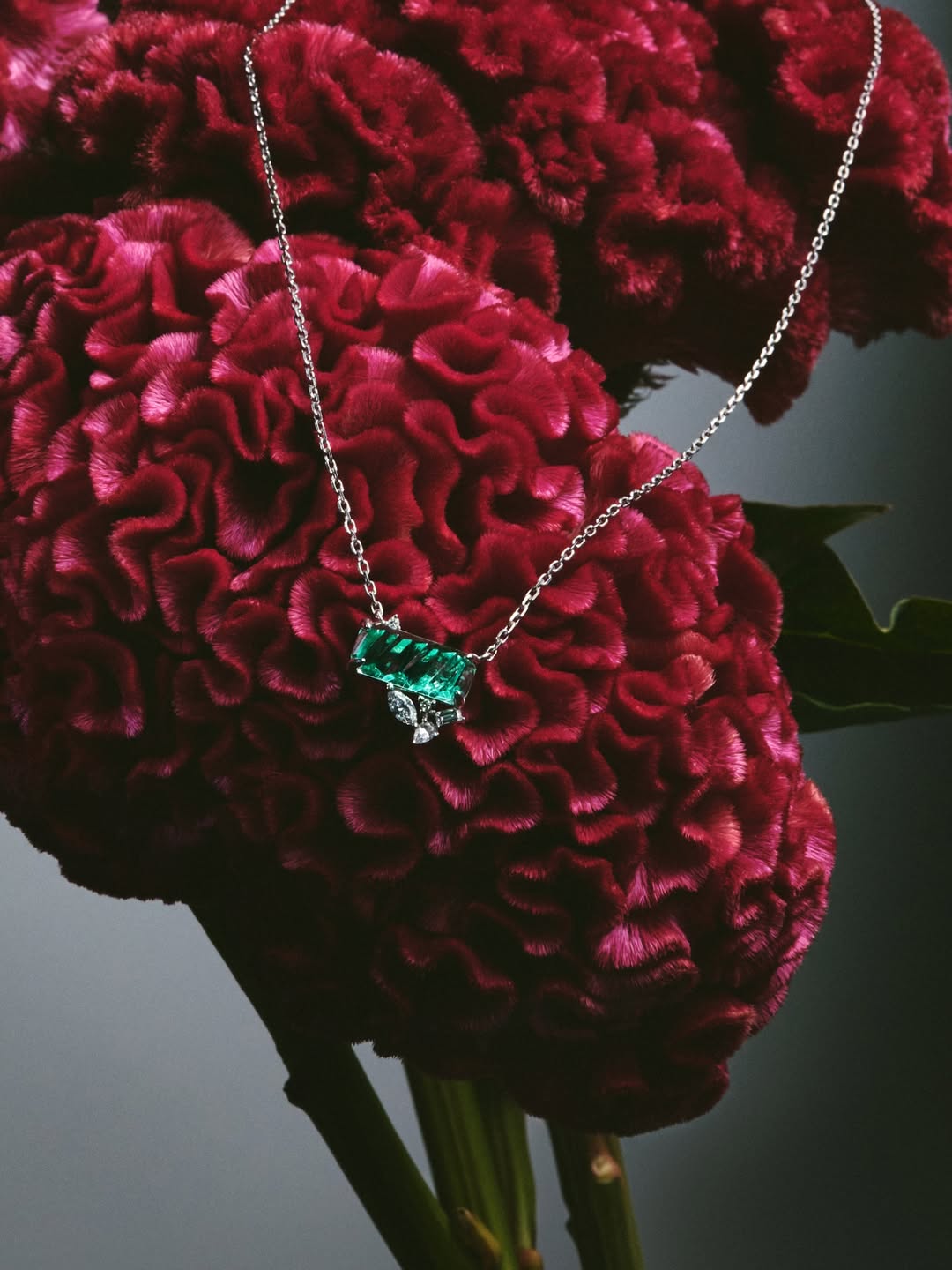 Joshua Pestka X Cuprian & Co. Dec. 25