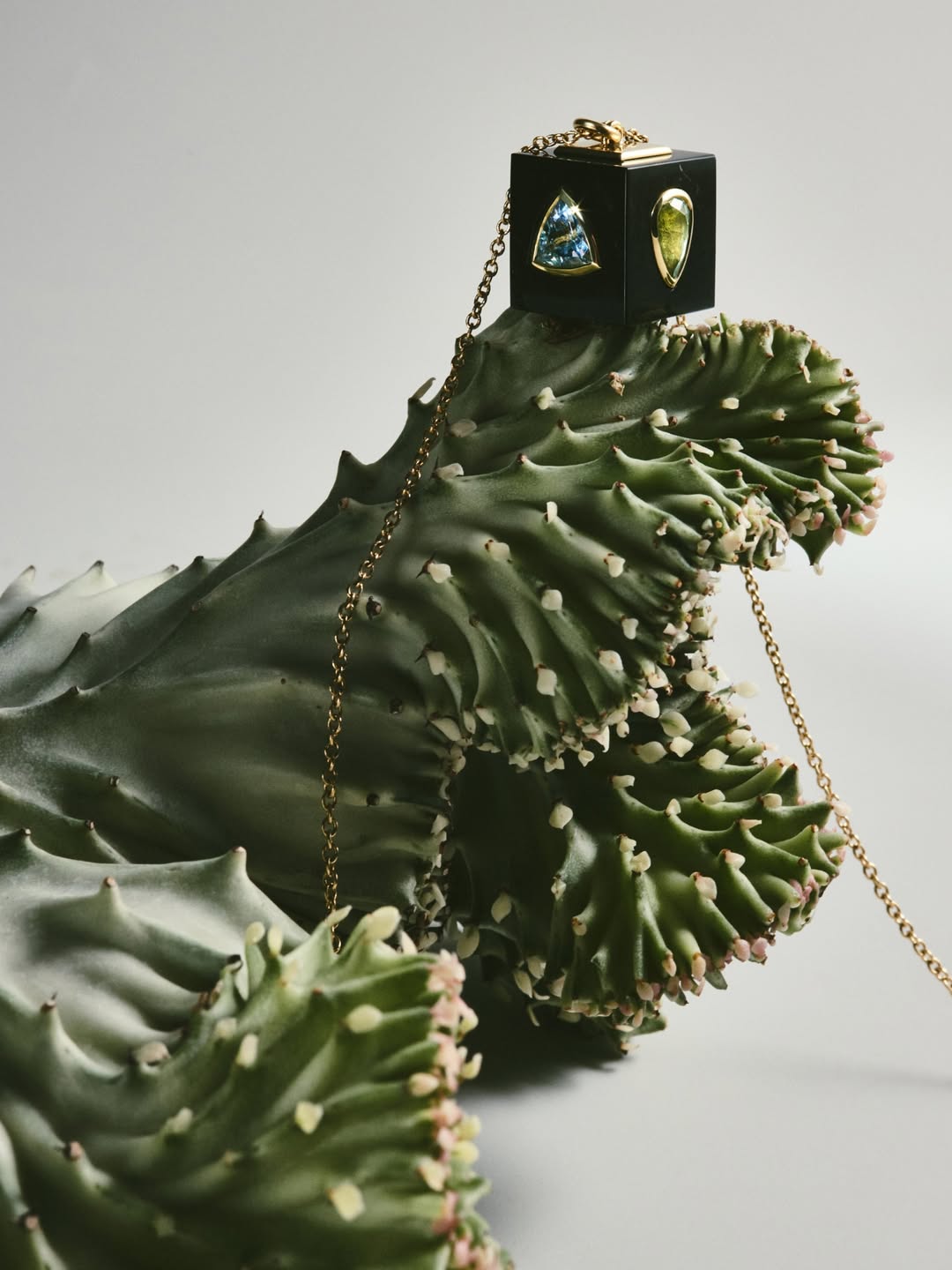 Joshua Pestka X Cuprian & Co.