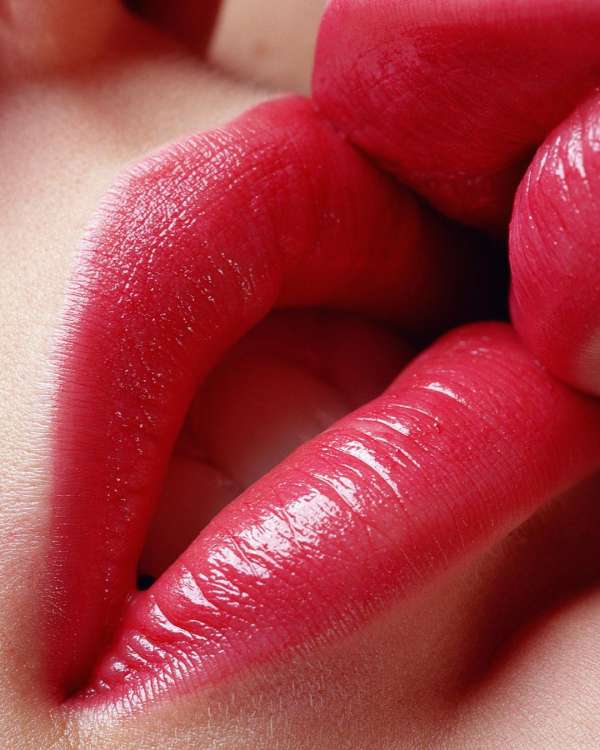 Stephane Coutelle