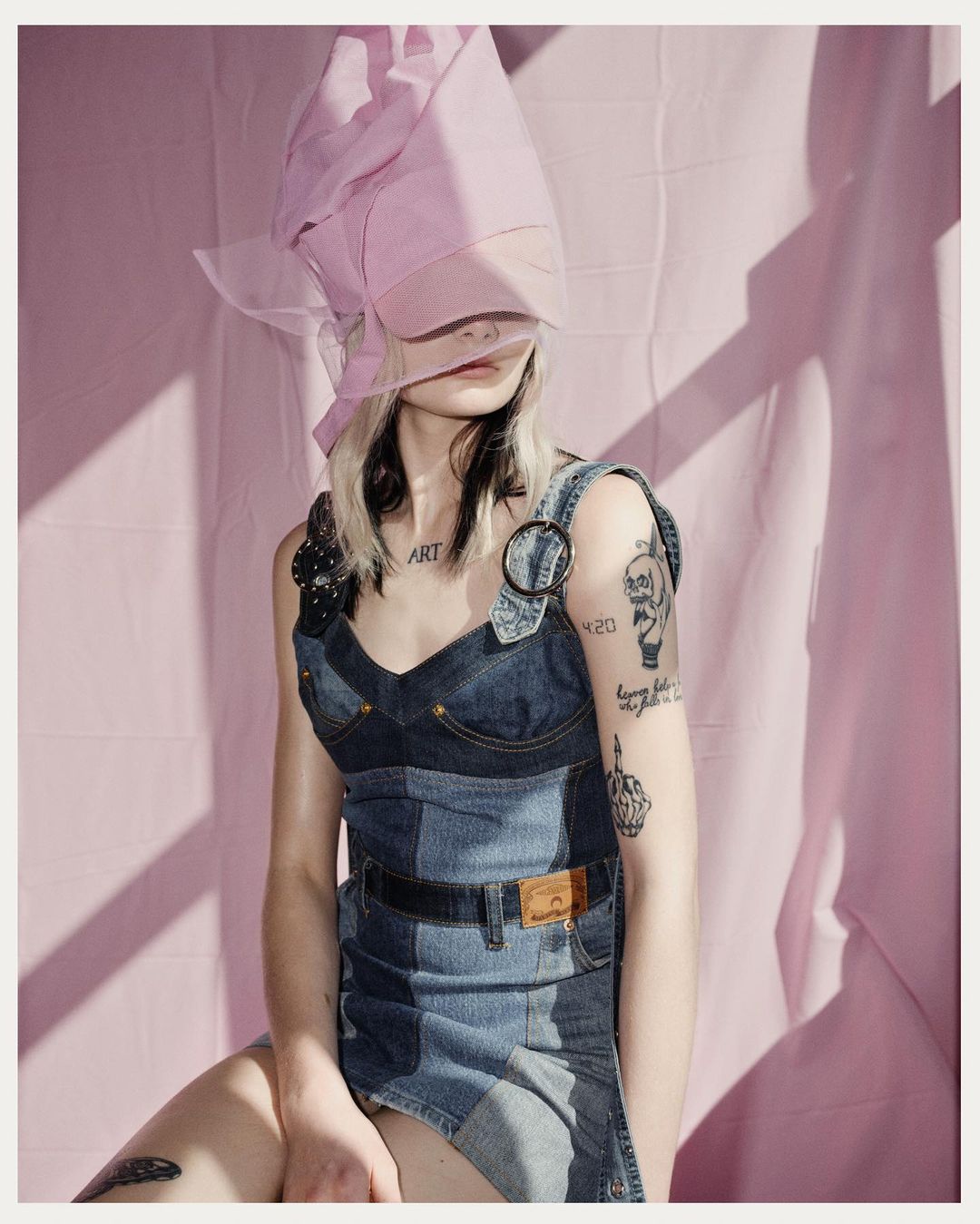 Collectible DRY |  May. 23