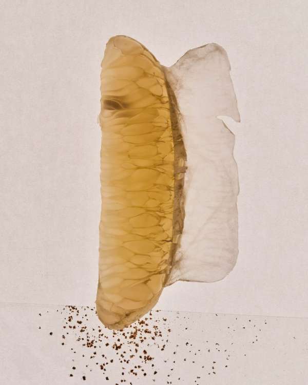 Julian Meijer Agency