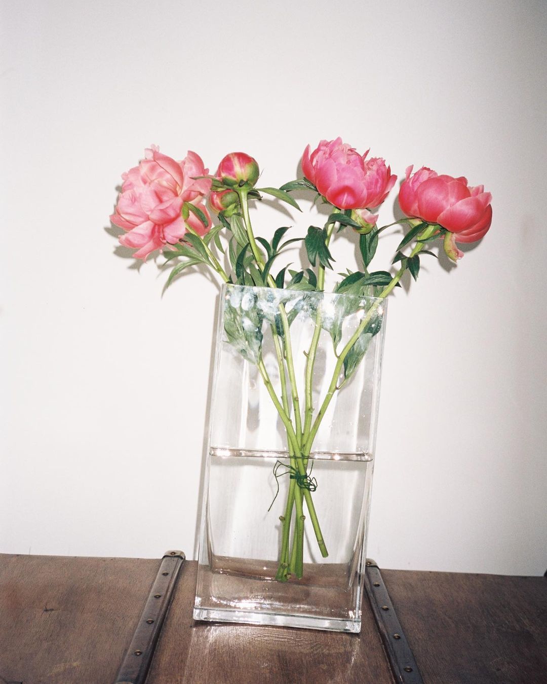 Borderlines Paper |  Jun. 22