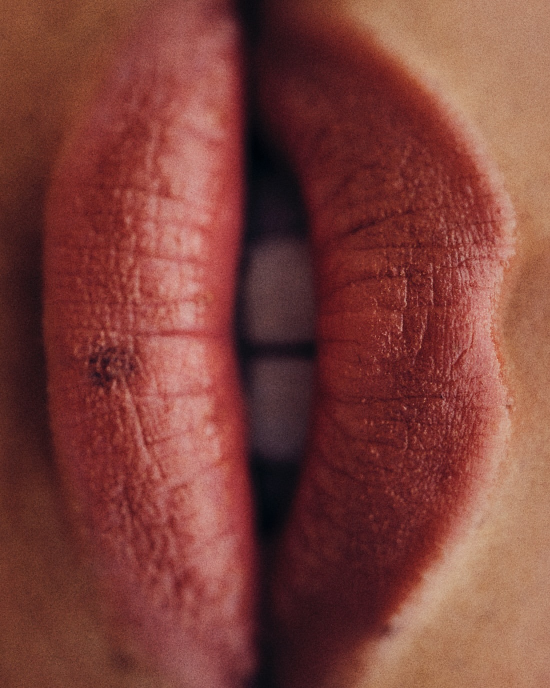 Karen Faurie Nov. 25