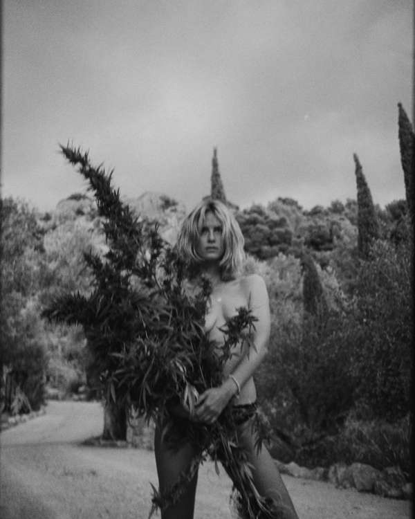 Kate Bellm