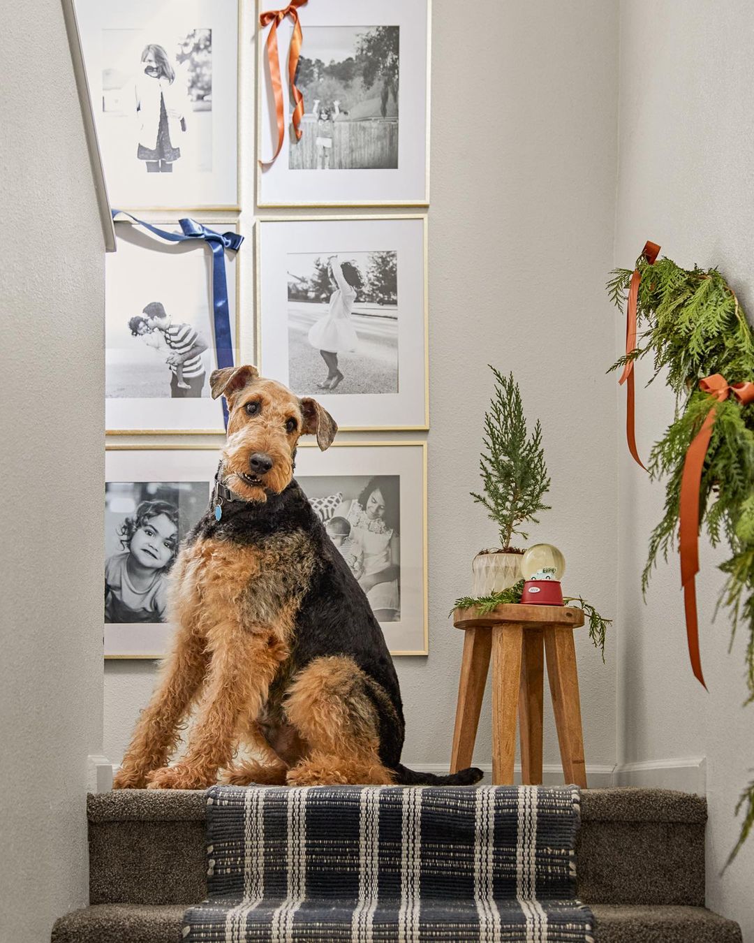 Better Homes & Gardens |  Dec. 22