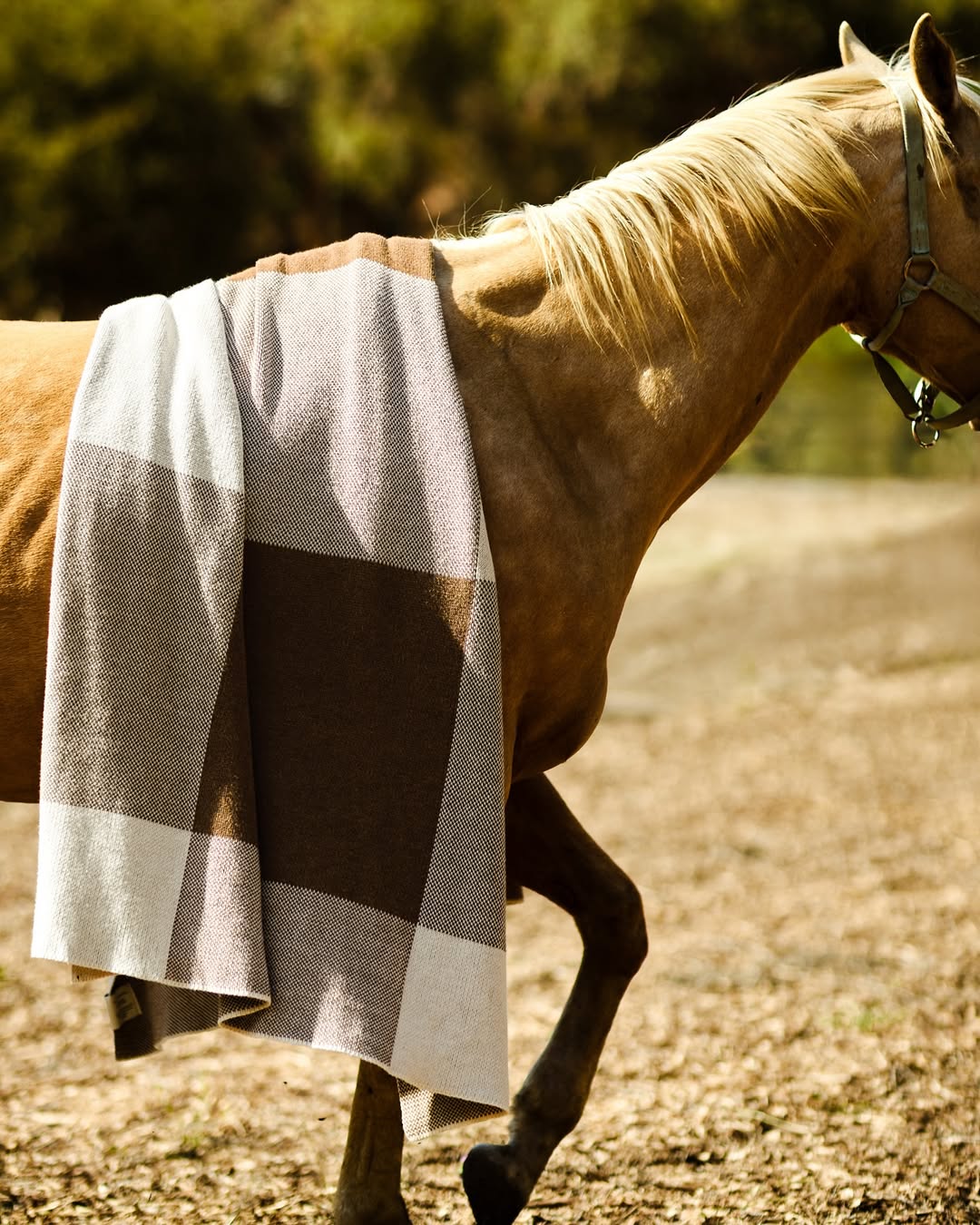 David Tsay X Sunbrella Dec. 25