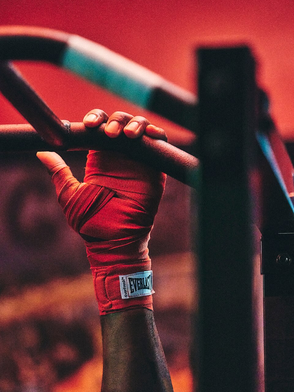 Thomas Northcut X Everlast