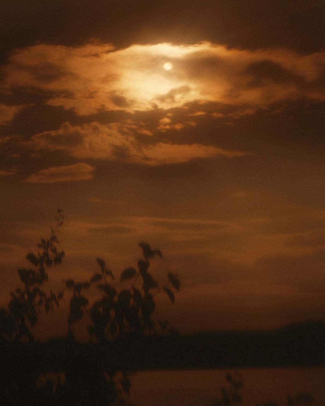 COSMOPOLITAN Germany |  Sep. 23