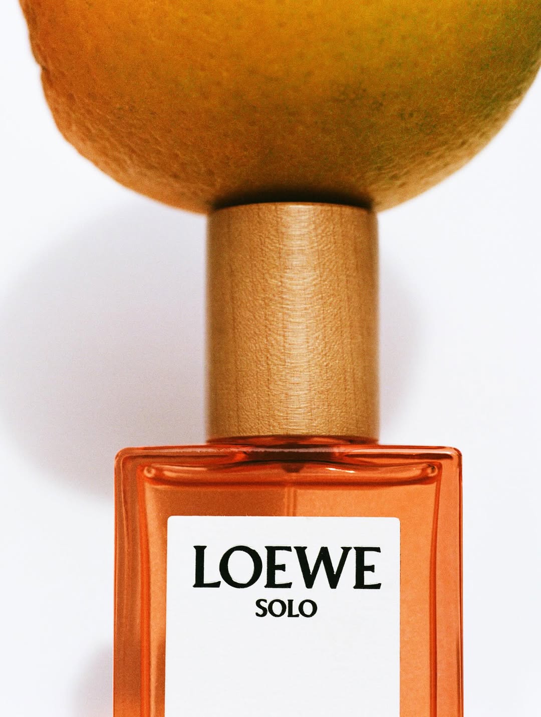 Kathrin Makowski X LOEWE Perfumes Nov. 25
