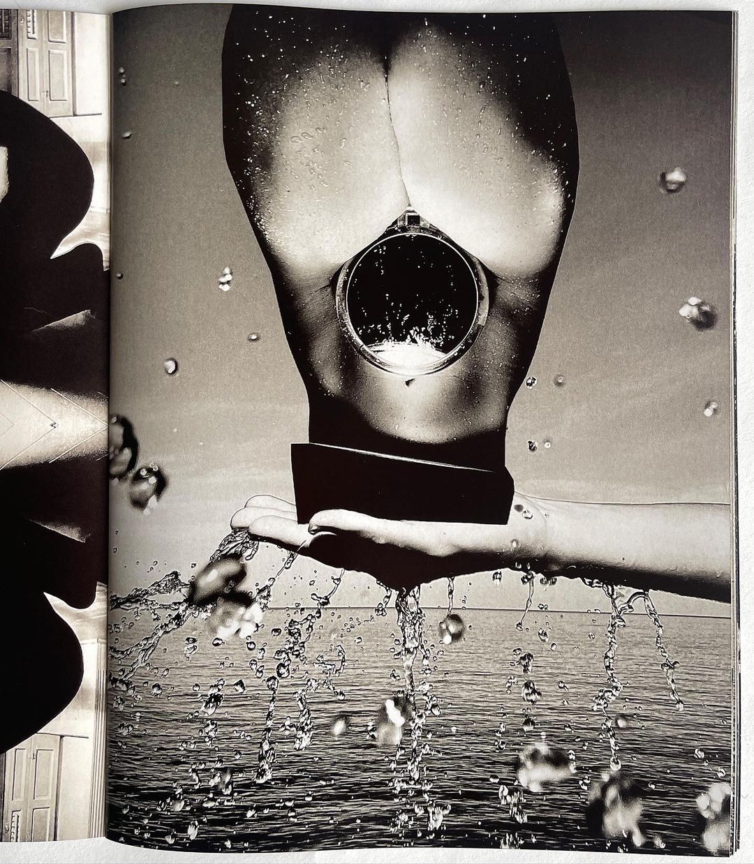 Dashwood Books |  Oct. 22