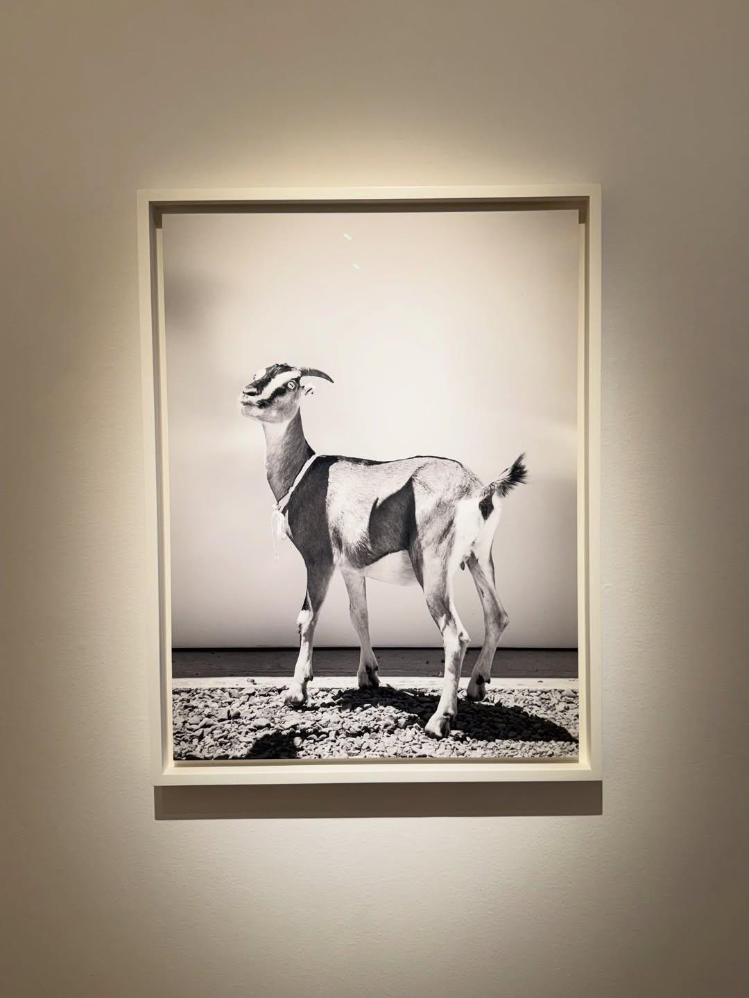 Art-news