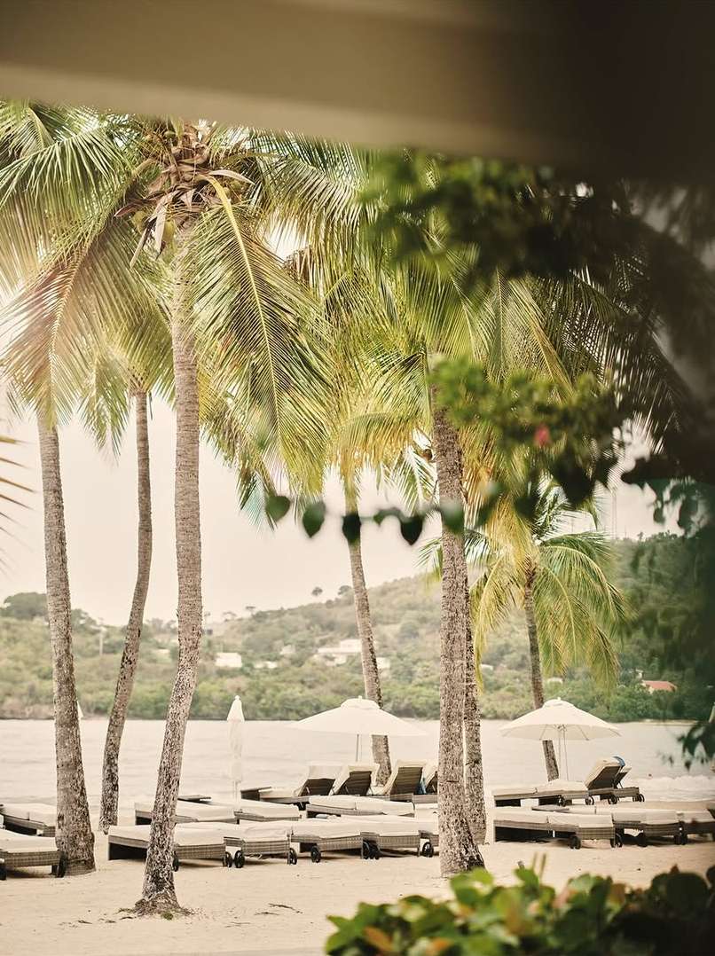 Felix Speller X Carlisle Bay Sep. 25