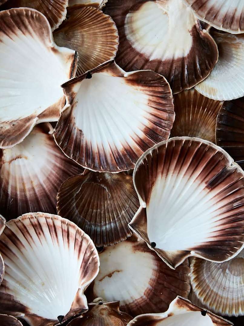 Anders Schonnemann X NOMA