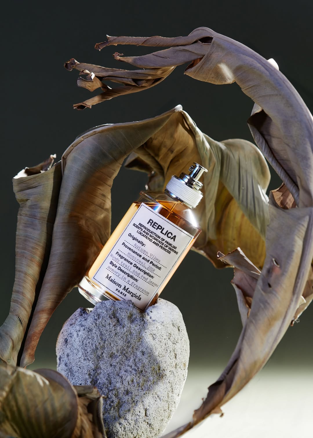 <a href="/kelsey-fain">Kelsey Fain</a> <span style="text-transform: none; white-space: nowrap;">Nov. 25</span>