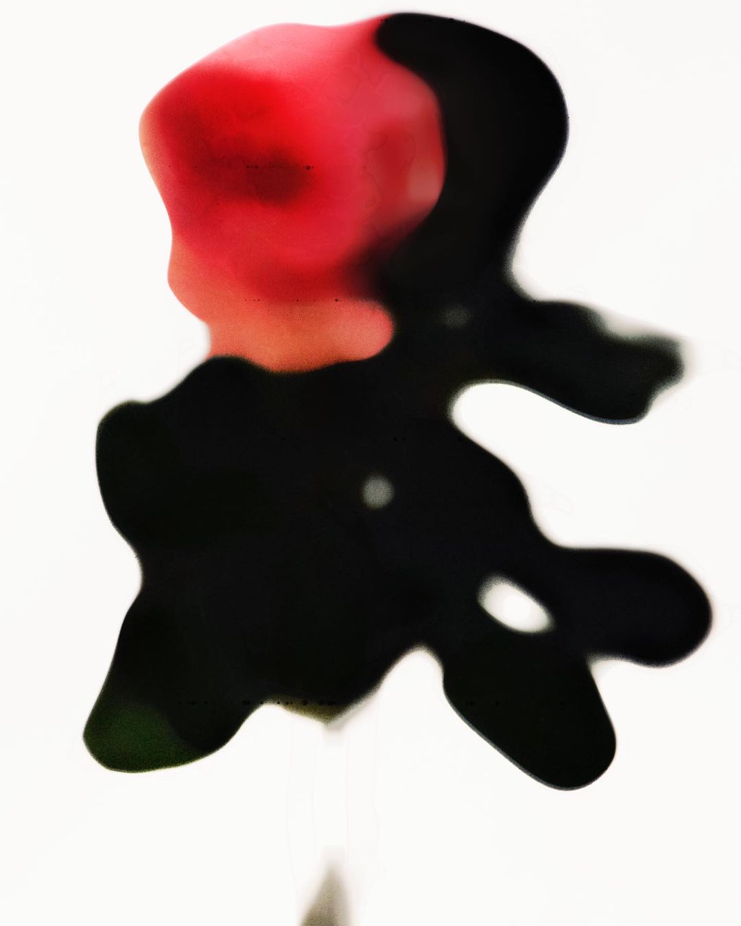 Kenta Umemoto