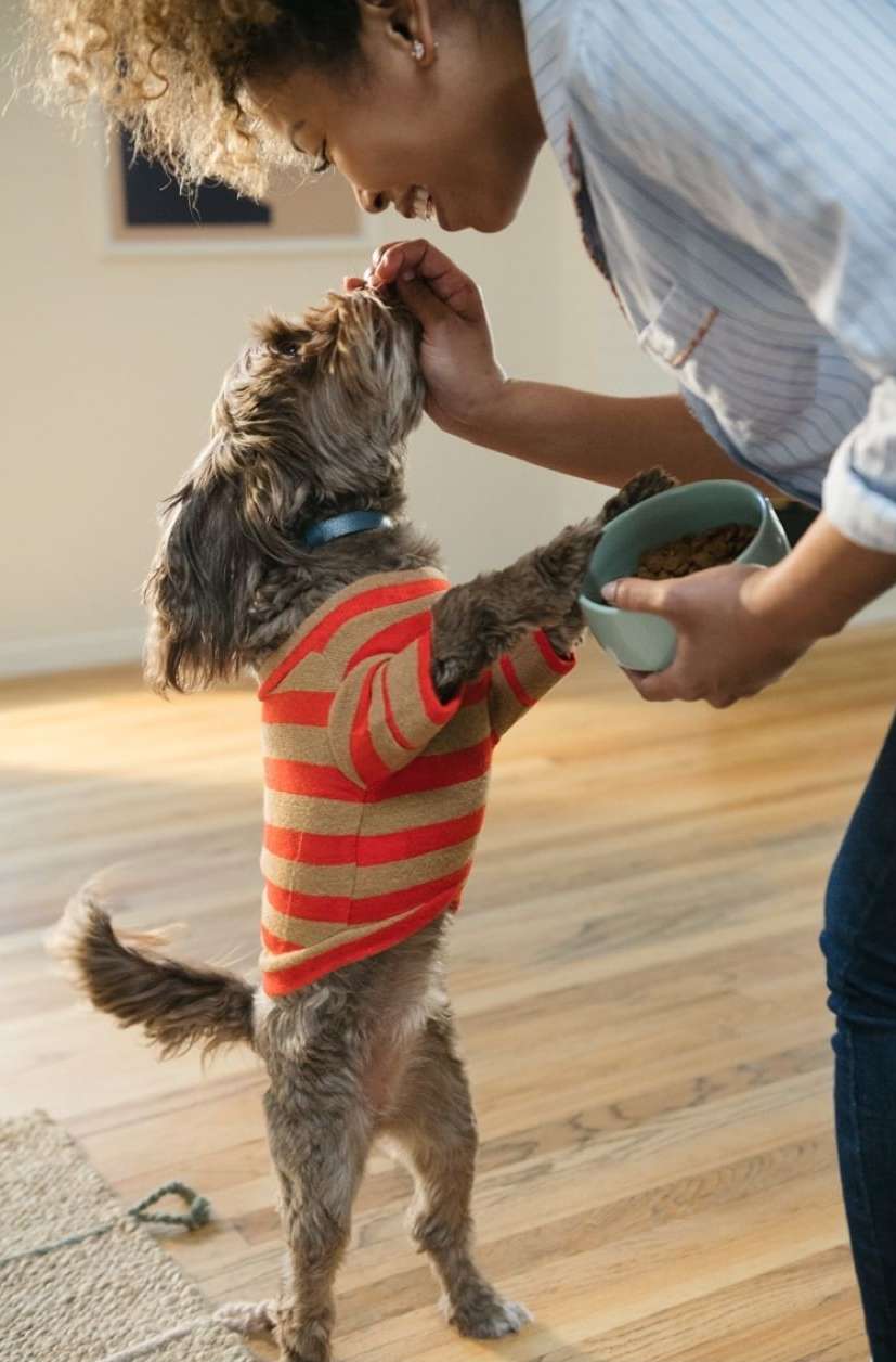 Hill's Pet Nutrition |  Oct. 23