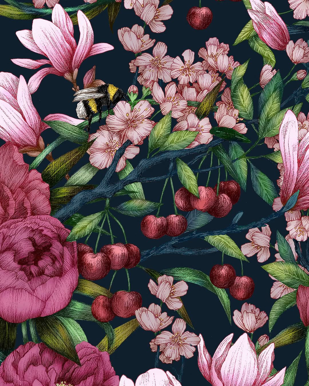 Frédérique Vernillet