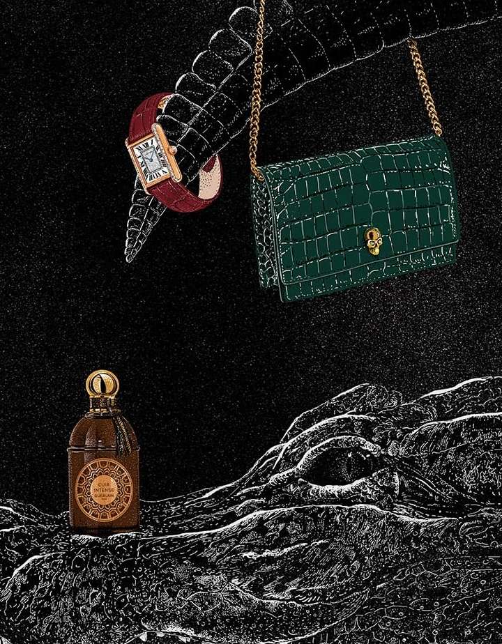 SILHOUETTE |  Dec. 22