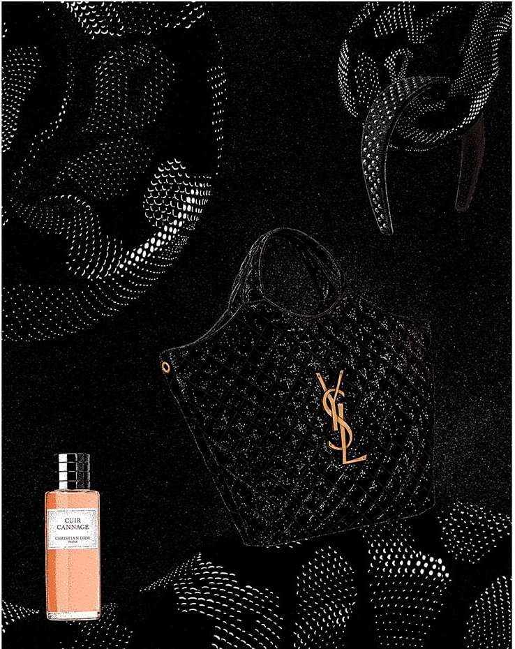 SILHOUETTE |  Dec. 22