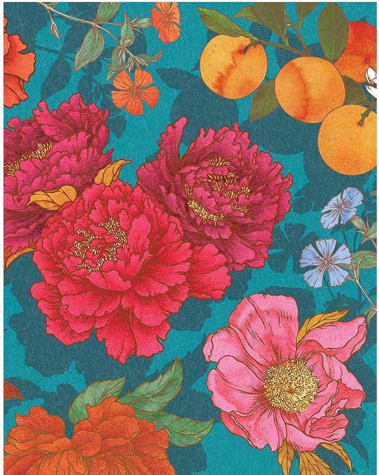 Hachette Cuisine |  Nov. 23