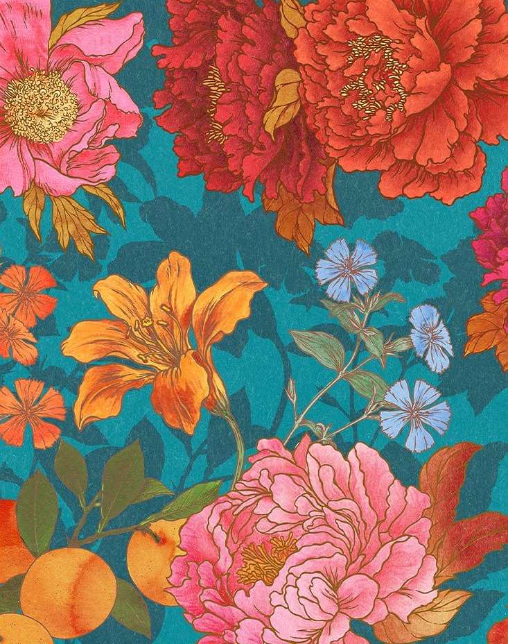 Hachette Cuisine |  Nov. 23