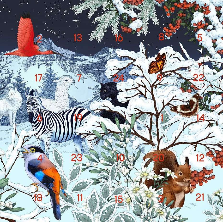 Chocolat Chapon |  Dec. 23