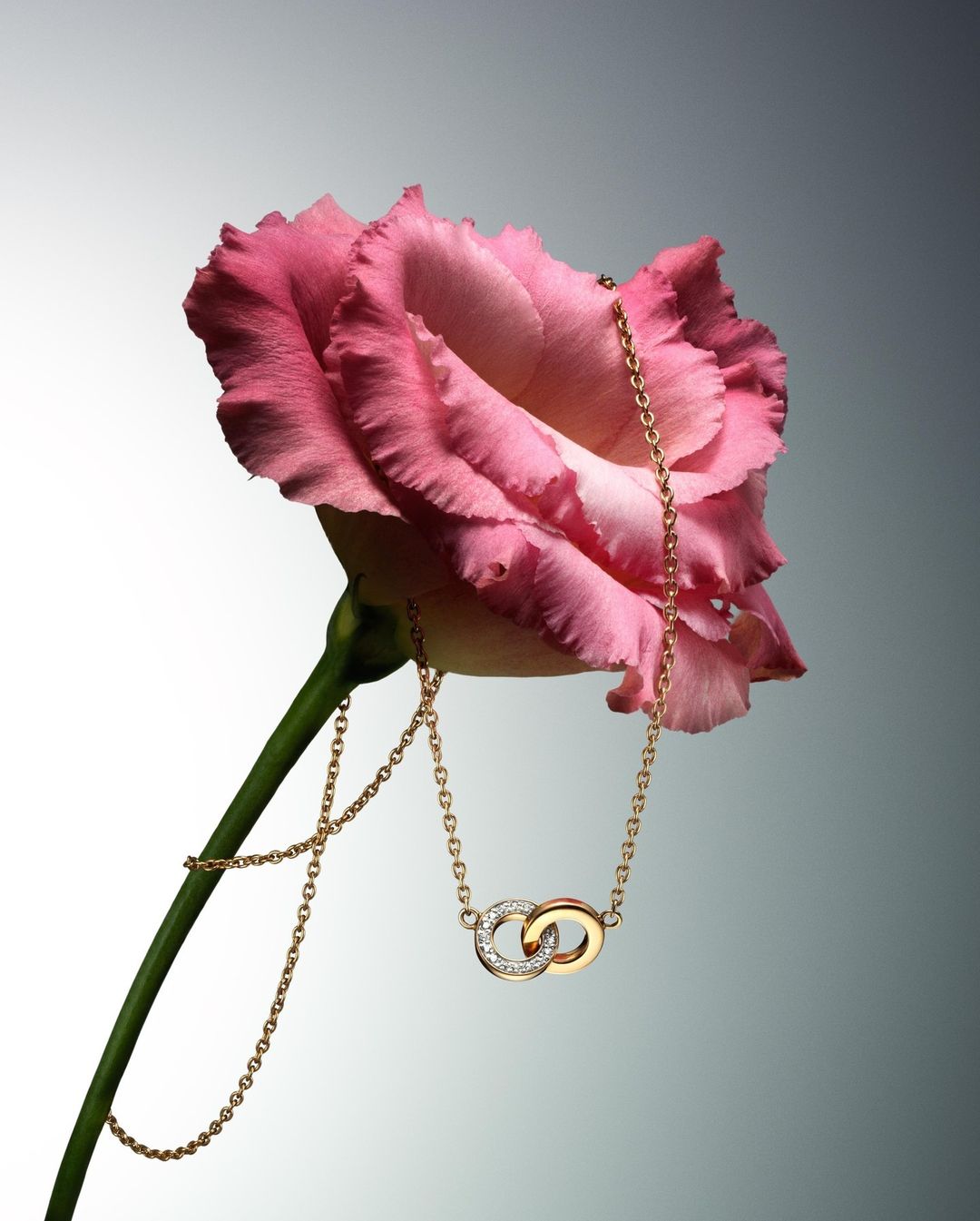 Efva Attling Stockholm |  Aug. 23