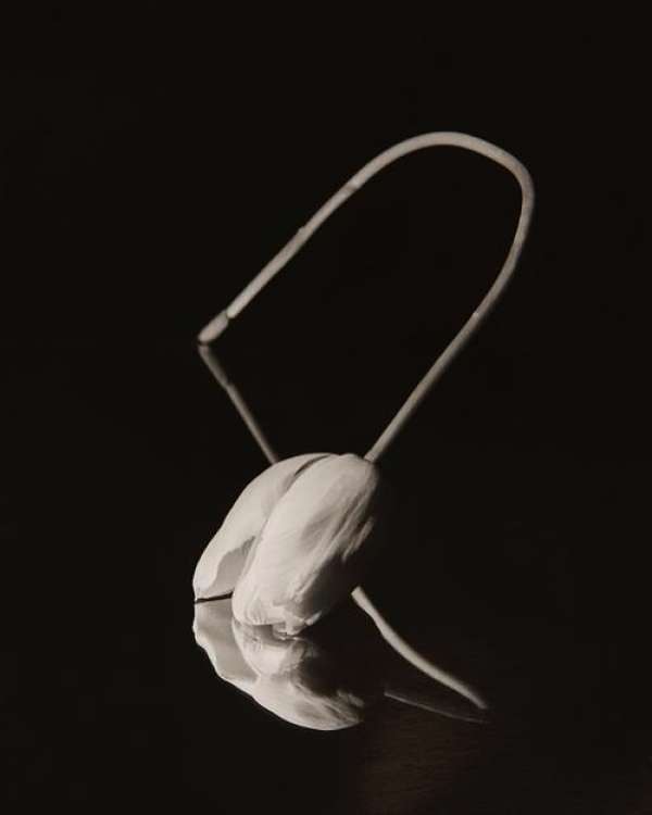 Martin Vallin