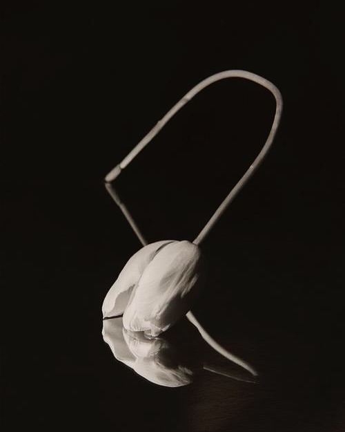 Martin Vallin