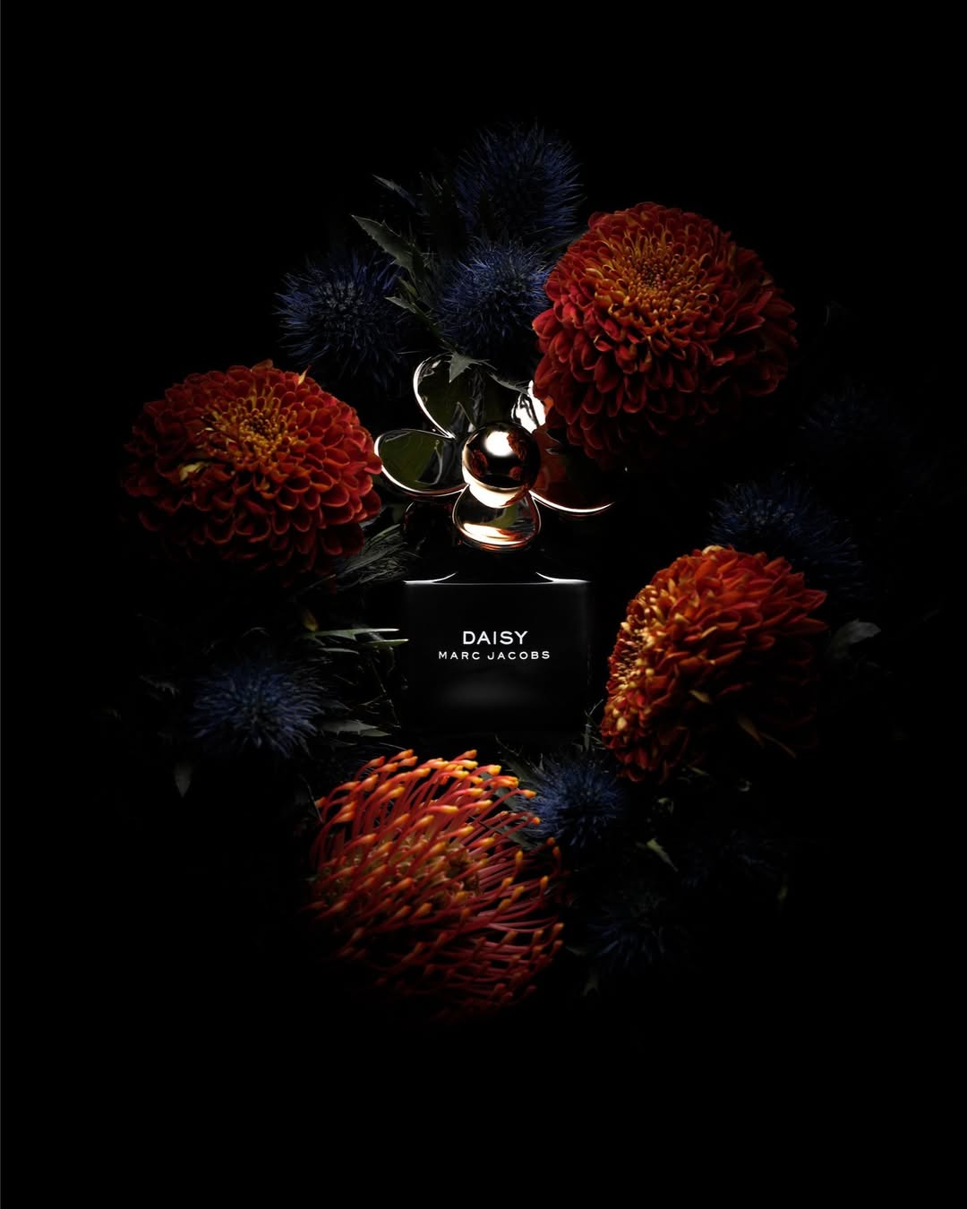 Daniel Lindh X Marc Jacobs Fragrances Nov. 25