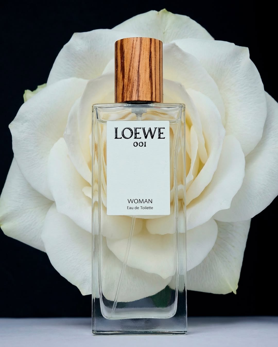 MONDAY REPORT US 02/16/26