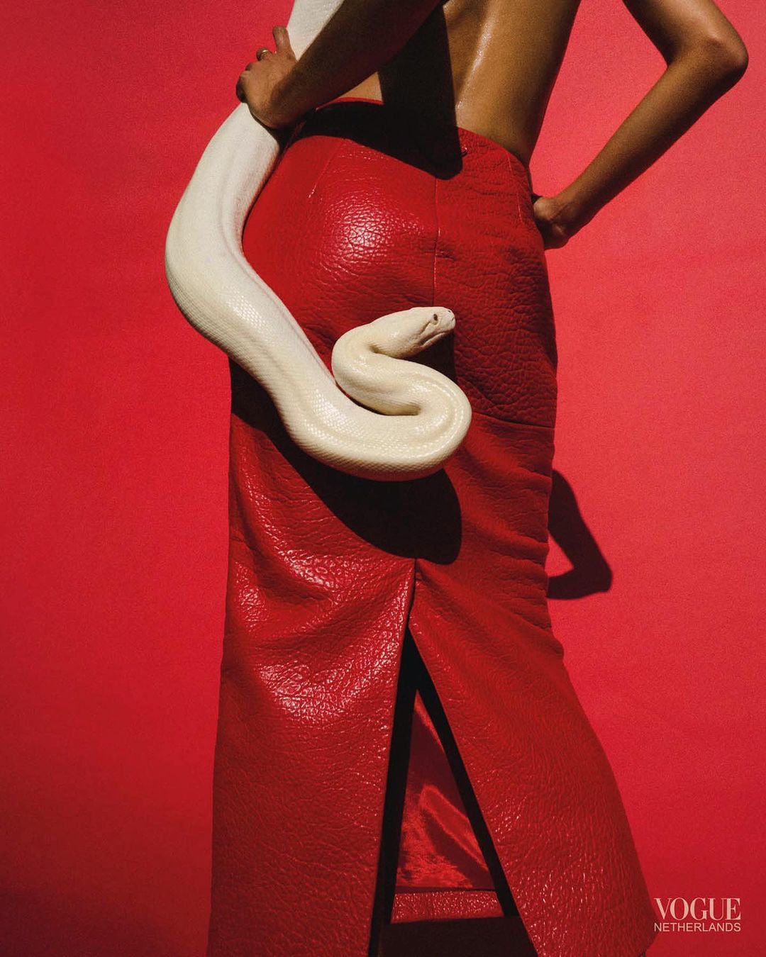 Vogue Netherlands |  Oct. 23