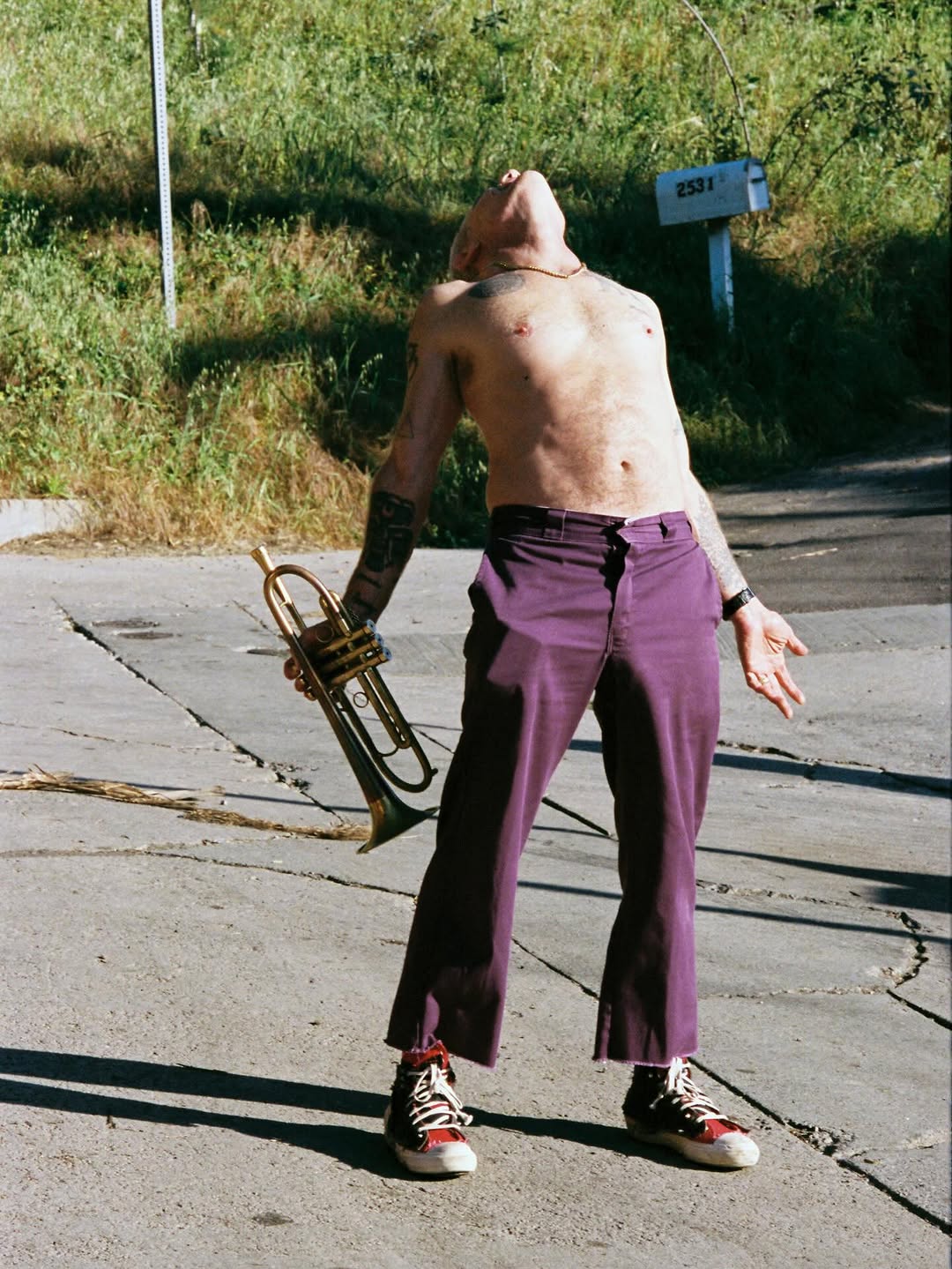 Ariel Fisher X The New York Times