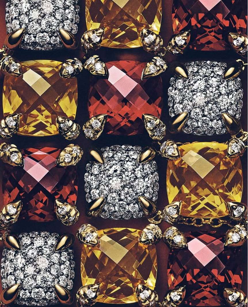 Gary Petersen X David Yurman