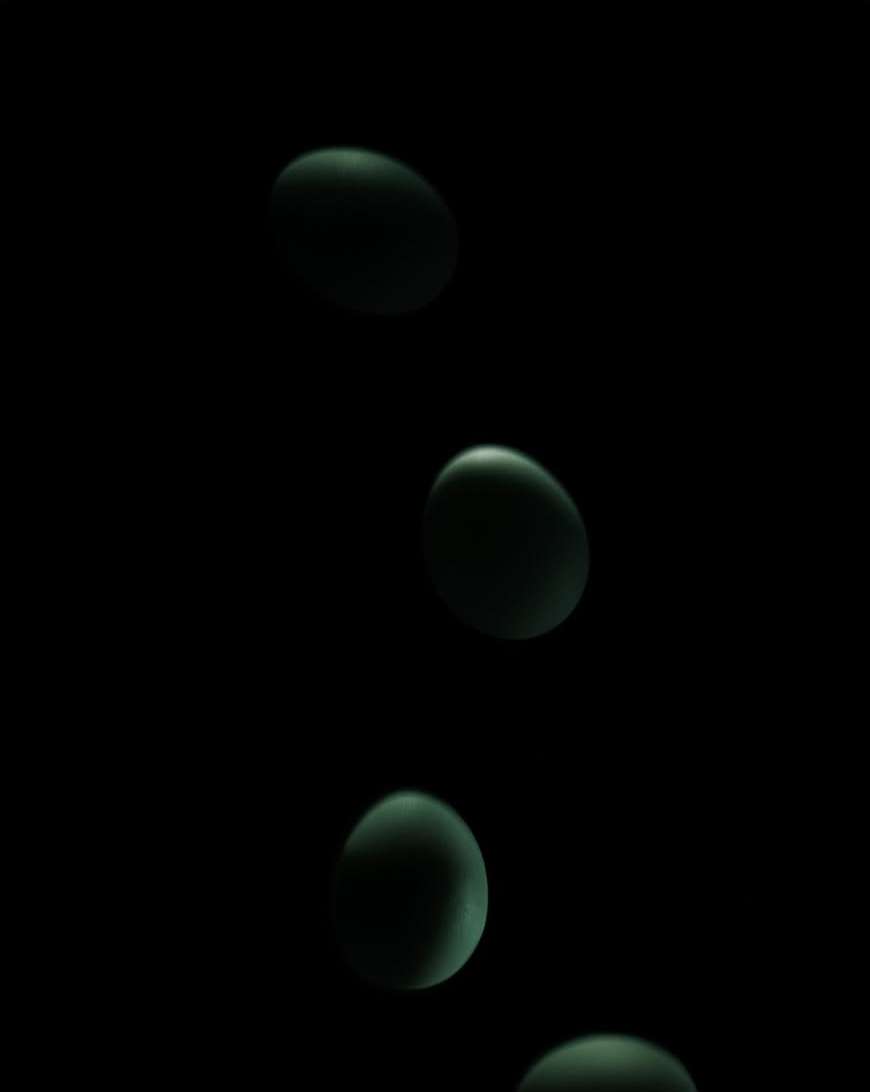 <a href="/kyle-rudd">Kyle Rudd</a> <span style="text-transform: none; white-space: nowrap;">Nov. 25</span>