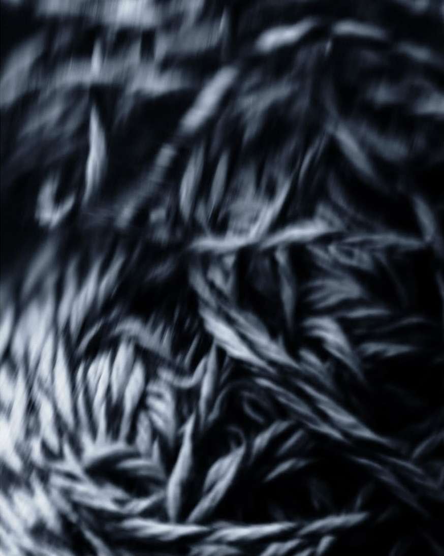 <a href="/kyle-rudd">Kyle Rudd</a> <span style="text-transform: none; white-space: nowrap;">Nov. 25</span>